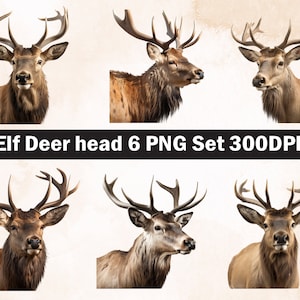 elk deer head PNG Sublimation Design,elk deer png,elk deer illustration,Digital Download,Png Sublimation,elk deer png,Deer Png,Deer