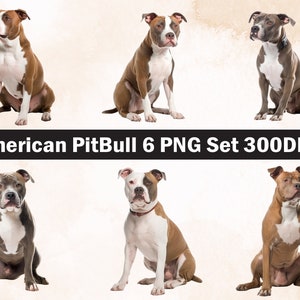 American pit bull PNG Sublimation Design,pit bull png,pit bull illustration,Digital Download,Png Sublimation,Dog pet Png ,American pit bull
