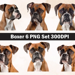 Boxer PNG Sublimation Design,Boxer png,Boxer illustration,Digital Download,Png Sublimation,Dog pet Png ,Boxer head Png,Boxer dog