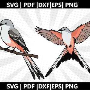 Peut inclure: Deux illustrations d'oiseaux aux couleurs grises, blanches, noires et corail. Un oiseau est perché sur une branche brune, et l'autre est en vol, les ailes déployées. L'image comprend le texte "SVG | PDF | DXF | EPS | PNG".