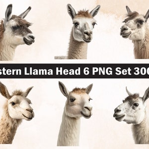 Western Llama head PNG Sublimation Design,Llama png,Llama illustration,Digital Download,Png Sublimation,Llama head,Llama Print,Llama