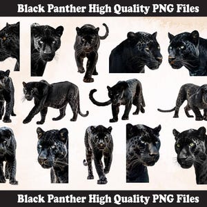 Panther PNG Sublimation Design,Panther png,Panther illustration,Digital Download,Png Sublimation,Panther Head png,Panther Png Sublimation