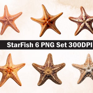Starfish PNG Sublimation Design, Starfish png,Starfish illustration,Digital Download,Png Sublimation, Starfish sea png, underwater Png