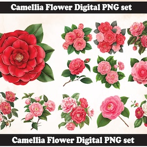 Camelia png-sublimatieontwerp, camelia png, camelia-illustratie, digitale download, png-sublimatie, camelia kerstbloem