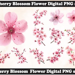 Cherry Blossom flower PNG Sublimation Design,Cherry Blossom png,Cherry Blossom illustration,Digital Download,Png Sublimation,Cherry Blossom