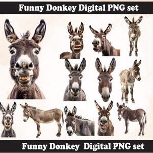 Funny Donkey PNG Sublimation Design, Donkey  png, Donkey  illustration,Png Sublimation, Donkey Head png, Donkey  Png Sublimation,Donkey