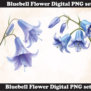 Bluebell flower PNG Sublimation Design, Bluebell png, Bluebell illustration, Png Sublimation, Bluebell flower png, Bluebell png,Flower png