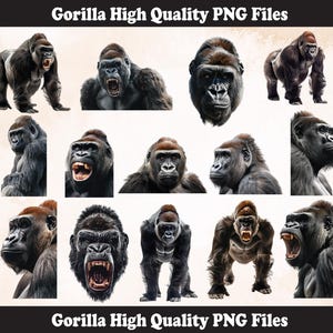 Gorilla PNG Sublimation Design, Gorilla png, Gorilla illustration,Png Sublimation, Gorilla Head png, Gorilla Png Sublimation,Gorilla svg