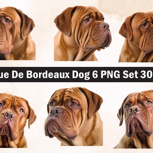 Dogue De Bordeaux Dog PNG Sublimatie Design, Dogue De Bordeaux png, Dogue De Bordeaux illustratie, Png Sublimatie, Hond huisdier Png, Hond png
