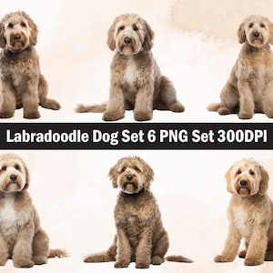 Labradoodle Hund PNG Sublimation Design, Hund png, Hund Illustration, digitaler Download, Png Sublimation, Haustier, Labradoodle Png, Labradoodle Kopf