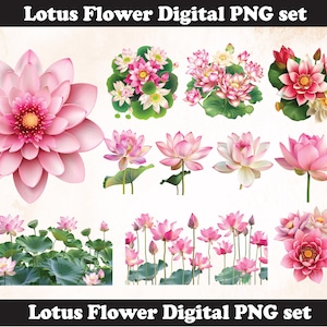 Lotus Flower PNG Sublimation Design,Lotus  png,Lotus illustration,Digital Download,Png Sublimation,Lotus  flower png,Lotus png