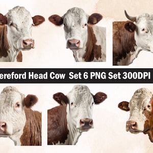 Hereford cow PNG Sublimation Design,Hereford png,Hereford illustration,Digital Download,Png Sublimation,Hereford head png,Hereford cow