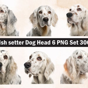 English setter Dog PNG Sublimation Design,English setter png,English setter illustration,Digital Download,Png Sublimation,Dog pet Png ,Dog