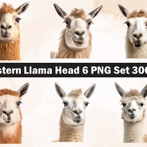 Western Llama head PNG Sublimation Design,Llama png,Llama illustration,Digital Download,Png Sublimation,Llama head,Llama Print,Llama
