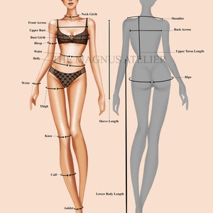 female measurement guide chart