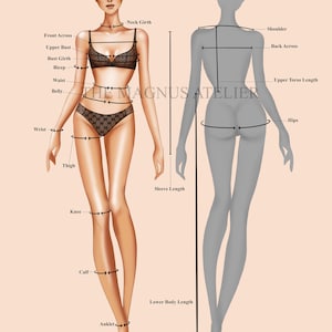 female size guide chart