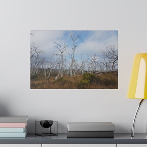 Matte Canvas, Stretched, 0.75&quot;