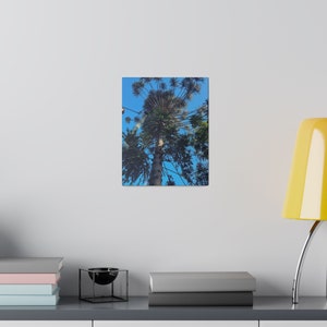 Matte Canvas, Stretched, 0.75&quot;