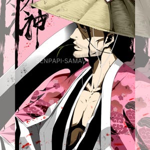 Shunsui Sama - Bleachies