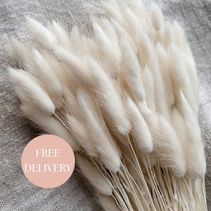 White Bunny Tails, Bunch of Bleached Bunny Tails, Bunny Tails Flowers, Neutral Dried Flowers, Bunny Tails Dried, Bunny Tails Cake Topper