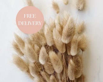 Natural Dried Bunny Tails | Bunch of Bunny Tails | Dried Flowers Vase | House Warming Gift | New Home Gift | Bohemian