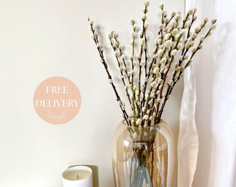 Dried Pussy Willow Stems 50cm Length, Catkins Dried Flowers, Neutral Home Decor,  Vase Filler, Dried Flower Bouquet, New Home Gift