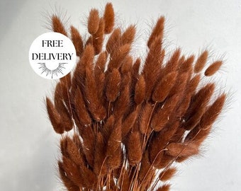 Sepia Brown Bunny Tails, Brown Dried Lagurus, Dried Flowers, Natural Pampas Grass, Home Gift, Gift for Her, Home Decor, Dried Bunny Tails