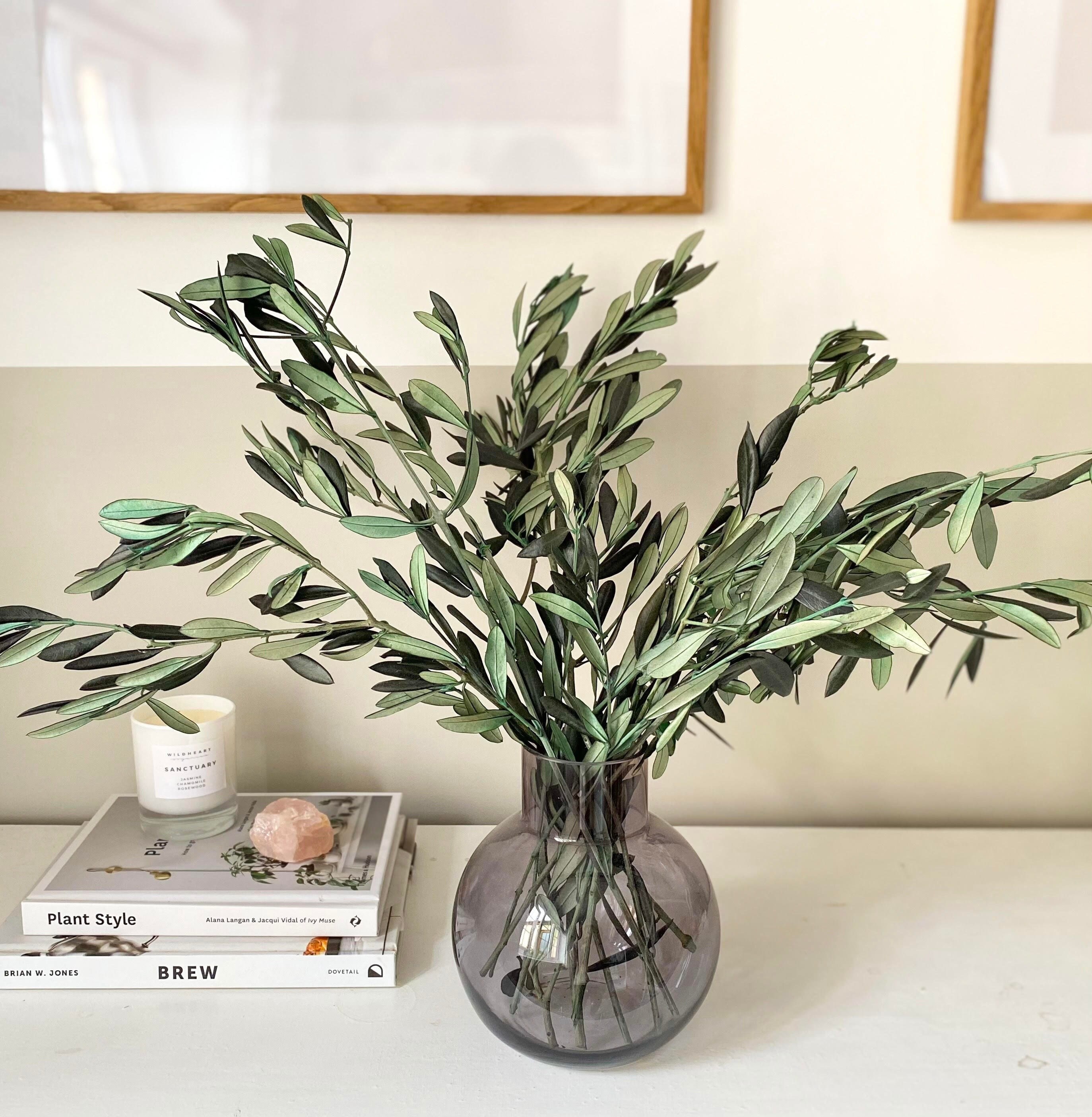 Fresh olive branches, Per bunch of 400 grams