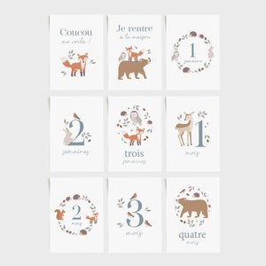 Cartes étapes bébé forêt, carte étape première année, carte étape bébé fille, carte étape bébé garçon, cartes étape bébé animaux image 2