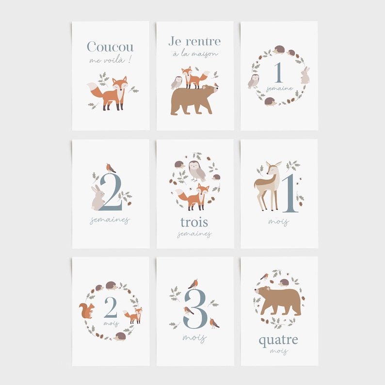 Cartes étapes bébé forêt, carte étape première année, carte étape bébé fille, carte étape bébé garçon, cartes étape bébé animaux image 2