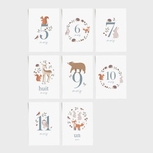 Cartes étapes bébé forêt, carte étape première année, carte étape bébé fille, carte étape bébé garçon, cartes étape bébé animaux image 3