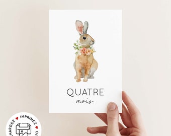 Meilensteinkarten für mein erstes Baby zum Ausdrucken / druckbare Baby-Meilensteinkarte / Meilensteinkarte für mein erstes Jahr / Tiere / Mädchen und Junge