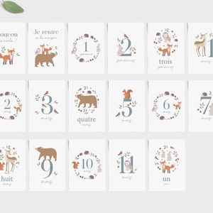 Cartes étapes bébé forêt, carte étape première année, carte étape bébé fille, carte étape bébé garçon, cartes étape bébé animaux image 4