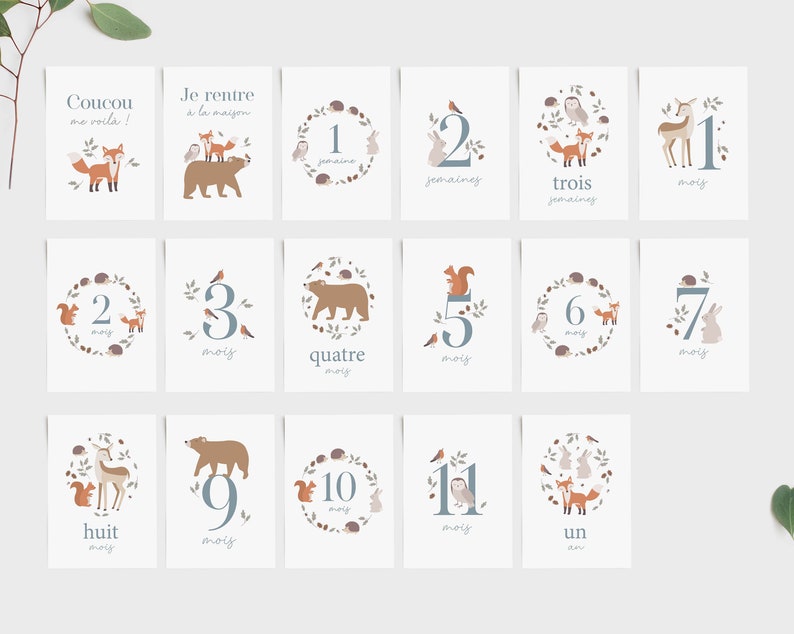 Cartes étapes bébé forêt, carte étape première année, carte étape bébé fille, carte étape bébé garçon, cartes étape bébé animaux image 4