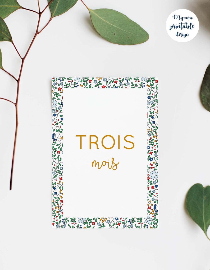 Cartes étapes bébé ma première année à imprimer / carte étape bébé imprimable / carte étape ma première année / liberty / fille & garçon image 4