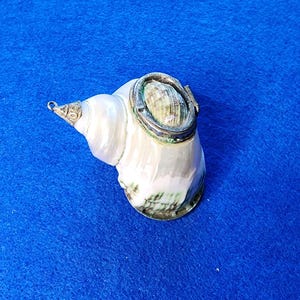 May include: A white seashell with a silver hinged lid. The seashell is a decorative box with a silver loop for hanging.