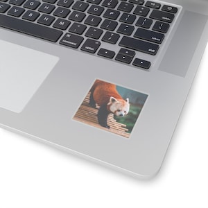 Adorable Red Panda Sticker - Playful Bridge Explorer | Wildlife Photography | Animal Scrapbooking Decor