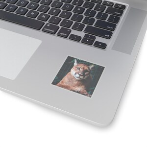 Captivating Close-Up Mountain Lion Sticker - Perfect Zoo Moment! | Wildlife Photography Sticker | Animal decoration
