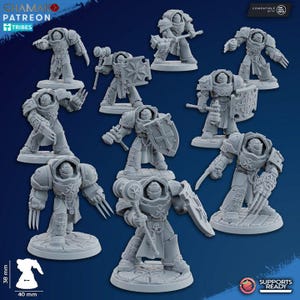 Temple Assault Exterminators | Ghamak
