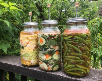 PicklePanic Pickle Plunger  Turns 2-quart mason jar into pickle crock for fermenting perfect pickles, kimchi, sauerkraut.