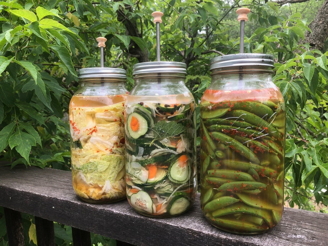 Picklepanic Pickle Plunger Turns 2quart Mason Jar Into Pickle Crock for Fermenting Perfect