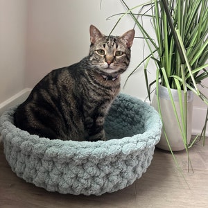 May include: A tabby cat sitting in a light blue crocheted cat bed. The cat bed is on a wood floor. A potted plant is in the background.