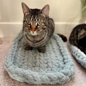 May include: A tabby cat with green eyes sits on a light blue, oval-shaped pet bed. The bed is made of a soft, fluffy material and has a braided edge.