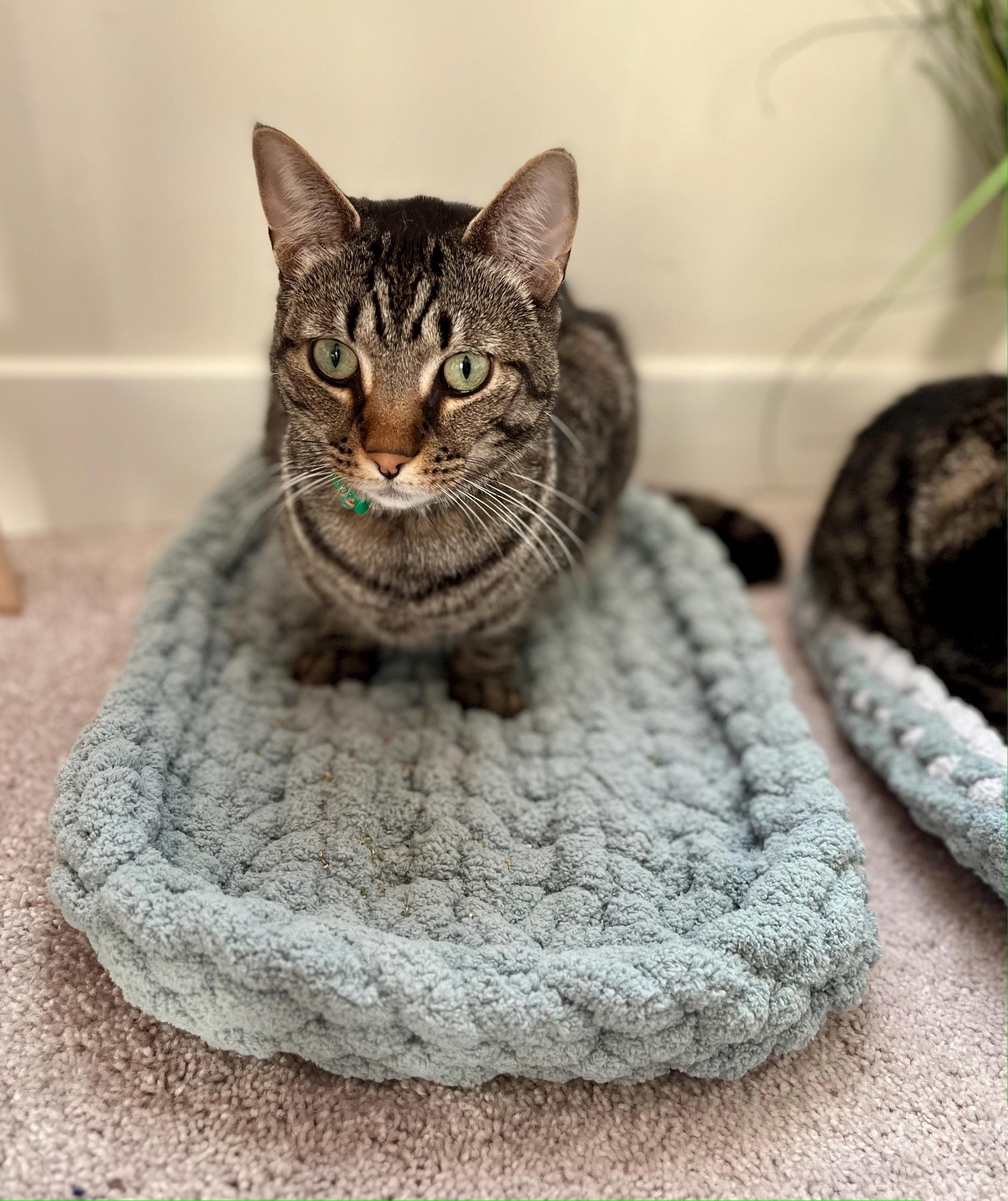 Crochet Pattern Cat Bed Chunky Yarn Crochet Rectangle Bed for Cat Carrier Pet Window Bed Beginner Crochet Pattern PDF Digital Download