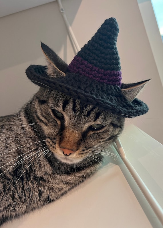 Cat Witch Cat Sombrero Crochet Pattern Free Ravelry: Hennin Cat