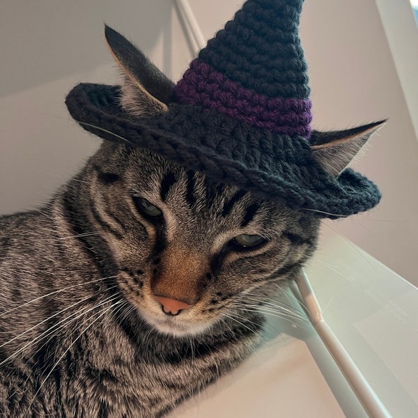 Witch Cat Hat Crochet Pattern