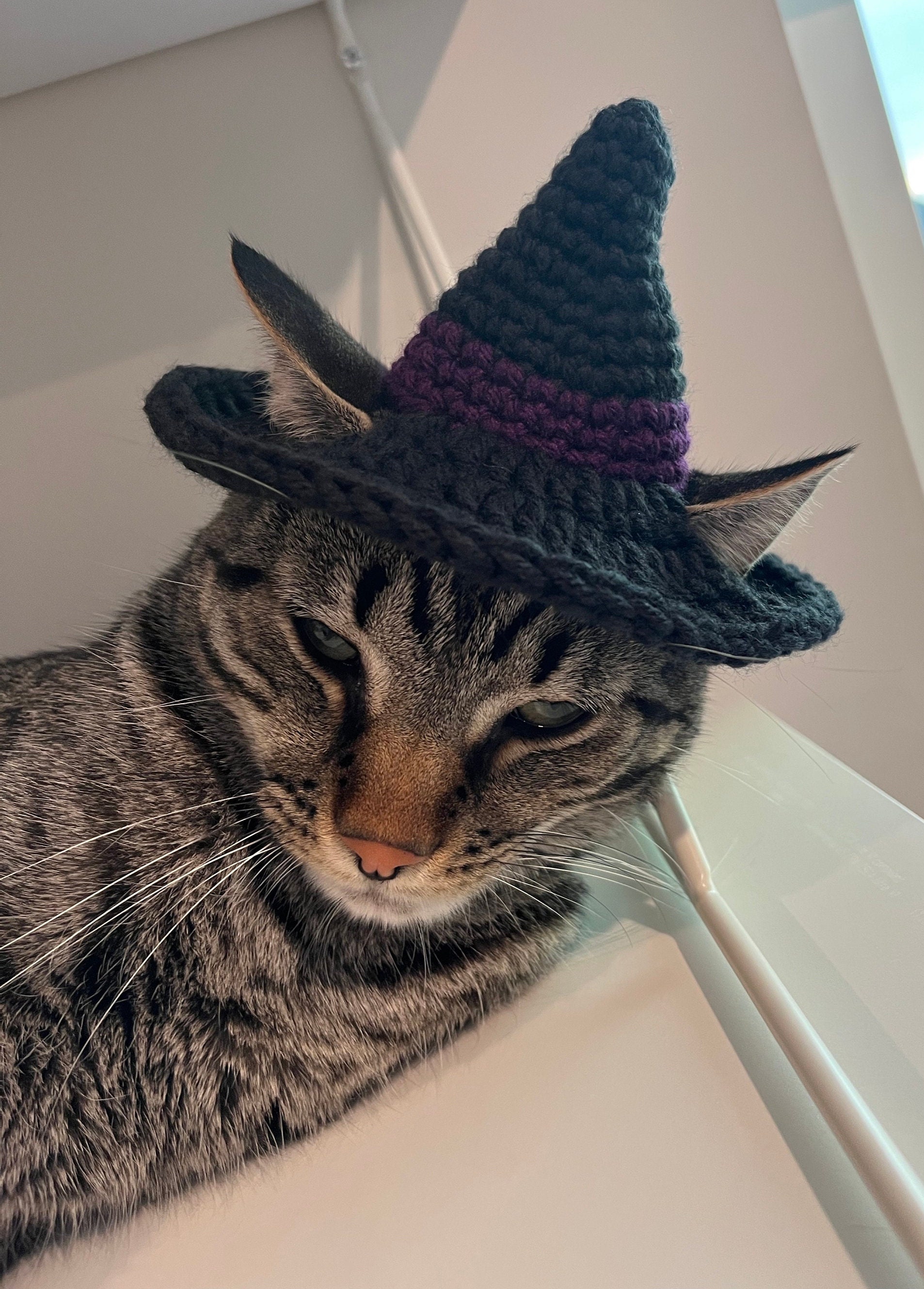 36 Cat Hat Crochet Patterns for Cozy, Costume, and Playful Crochet Projects 22 Crochet Pattern Witch Cat Hat Easy Beginner Crochet