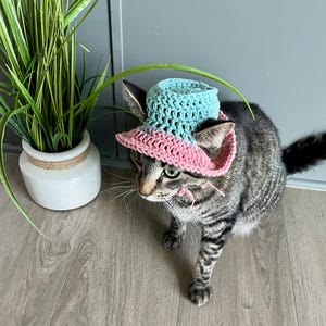 Crochet Pattern Summer Cat Bucket Hat Easy Beginner Crochet Cat Hat Quick Crochet Gift for Cat Lover Pattern PDF Digital Download