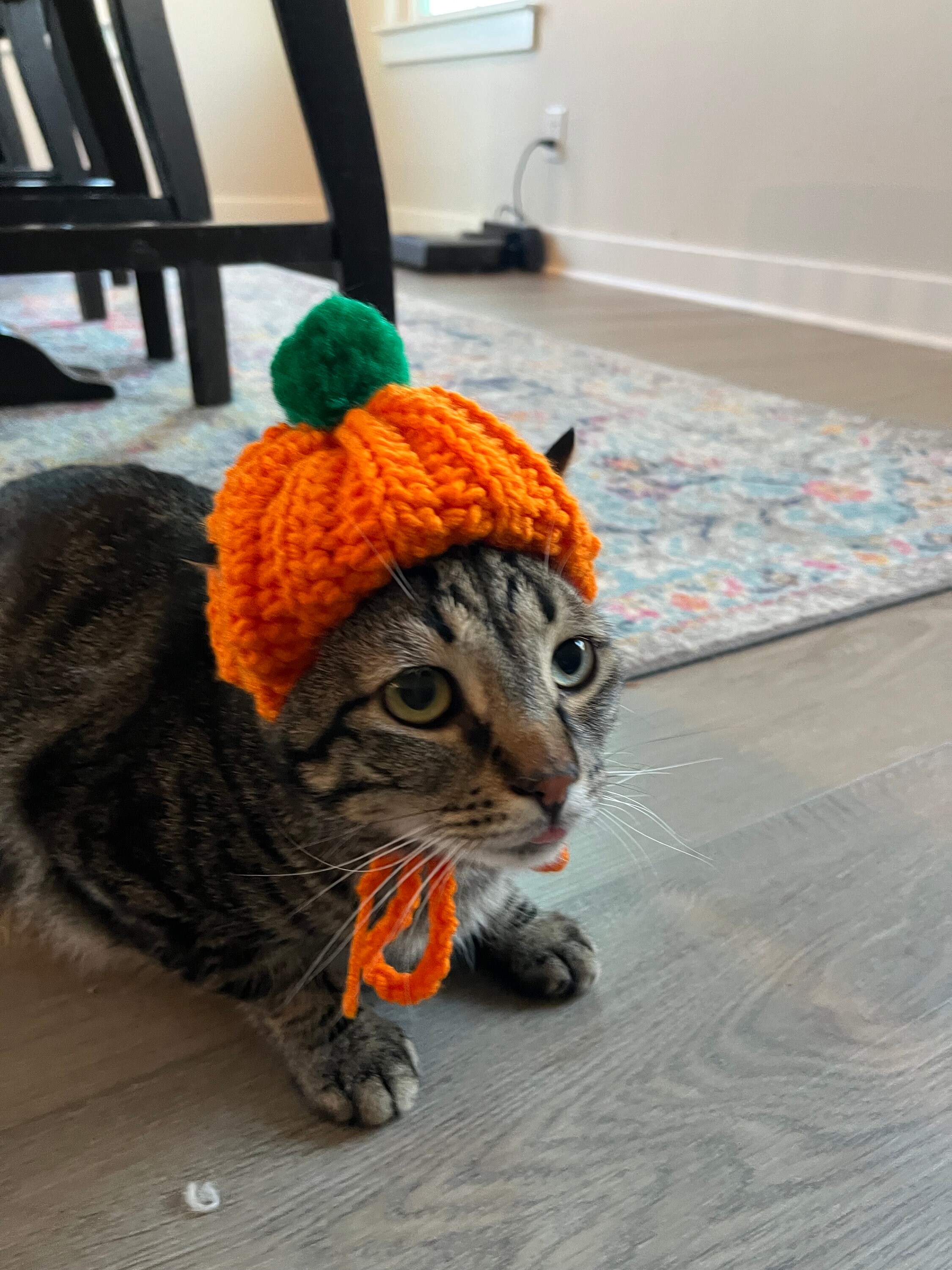 Crochet Baby & Kids Downloads - Pumpkin the Cat & Hat Crochet Pattern