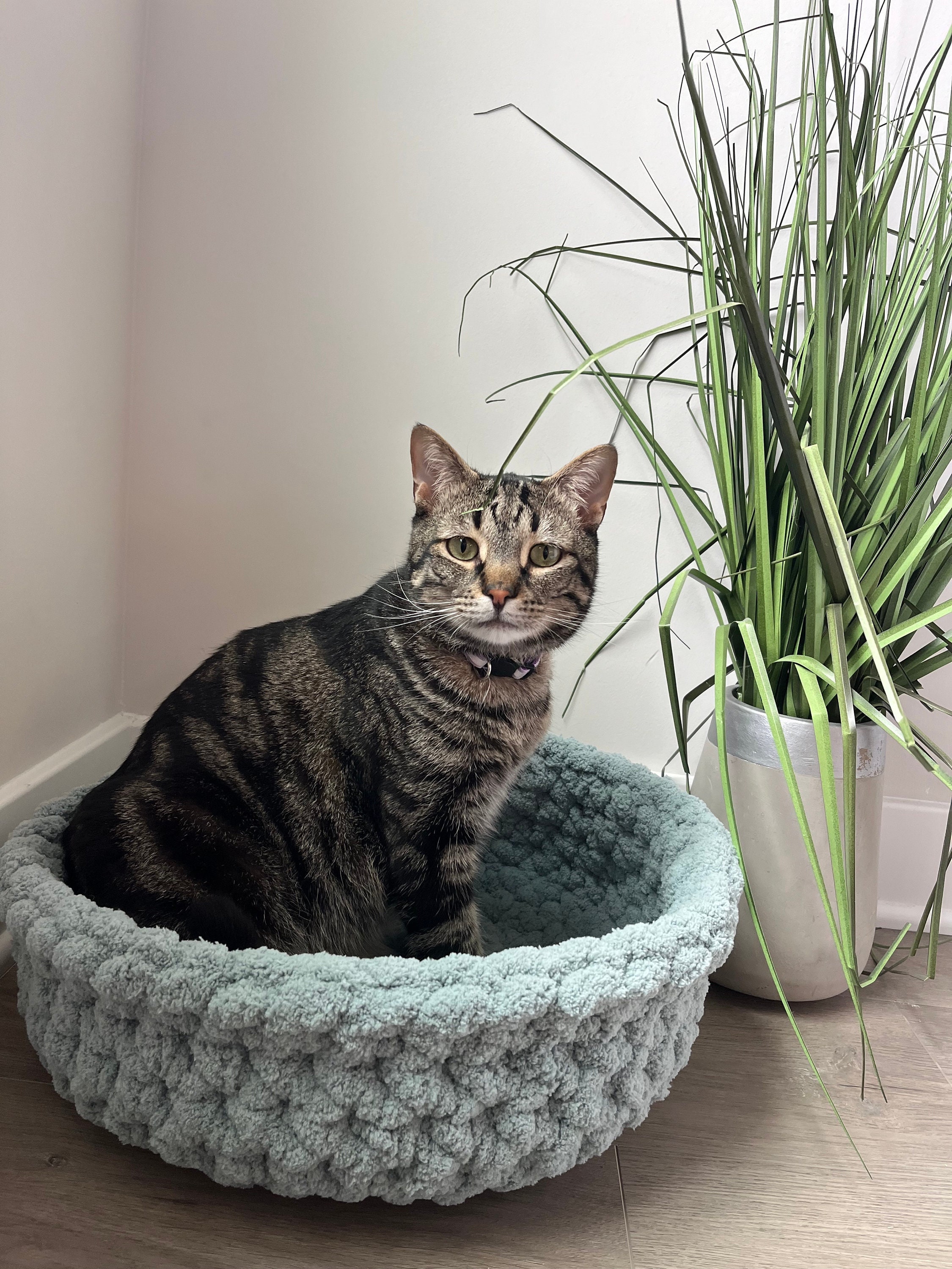 40 Cat Bed Crochet Patterns for Cozy Caves, Pods, and Pet Nests 25 Crochet Pattern Cat Bed Large Chunky Yarn Crochet Bed